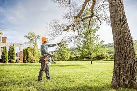 Best Tree Mulching  in Central City, PA